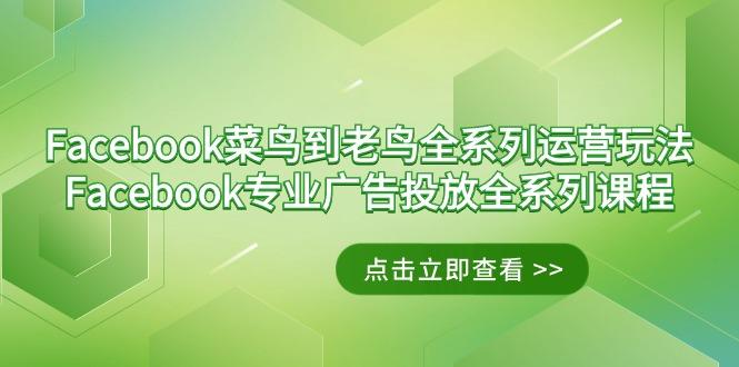 Facebook-菜鸟到老鸟全系列运营玩法+Facebook-专业广告投放全系列课程-精品虚拟资源库