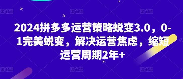 2024拼多多运营策略蜕变3.0，0-1完美蜕变，解决运营焦虑，缩短运营周期2年+-精品虚拟资源库