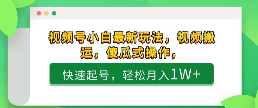 视频号小白最新玩法，视频搬运，傻瓜式操作，快速起号，轻松月入1W+-精品虚拟资源库