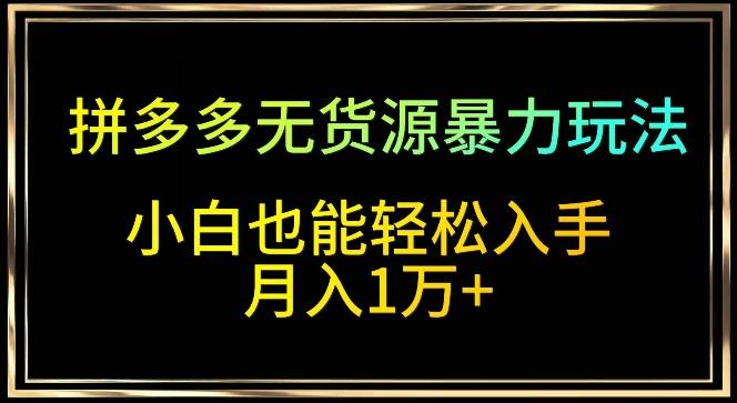 拼多多无货源暴力玩法，全程干货，小白也能轻松入手，月入1万+【揭秘】-精品虚拟资源库
