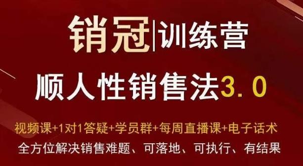 爆款！销冠训练营3.0之顺人性销售法，全方位解决销售难题、可落地、可执行、有结果-精品虚拟资源库