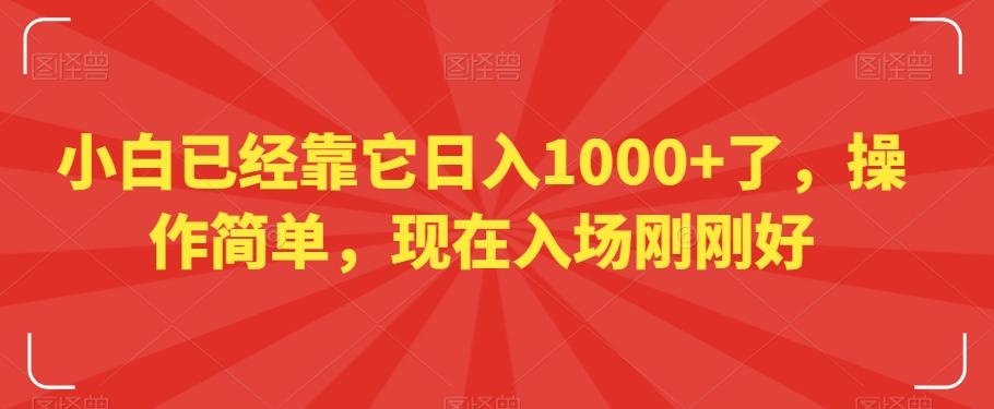 小白已经靠它日入1000+了，操作简单，现在入场刚刚好【揭秘】-精品虚拟资源库