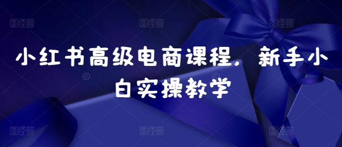 小红书高级电商课程，新手小白实操教学-精品虚拟资源库