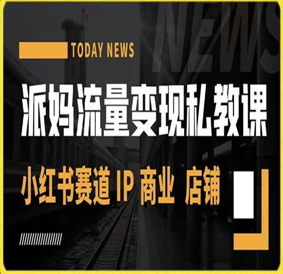 派妈流量变现私教课，小红书赛道IP  商业  店铺 -精品虚拟资源库