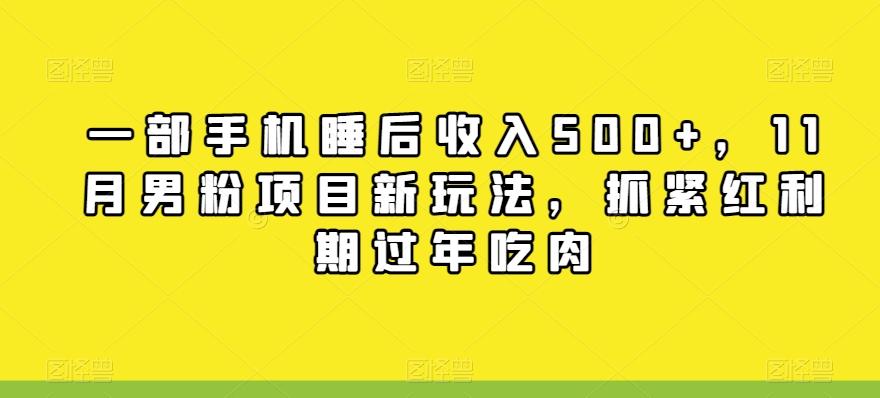 一部手机睡后收入500+，11月男粉项目新玩法，抓紧红利期过年吃肉-精品虚拟资源库