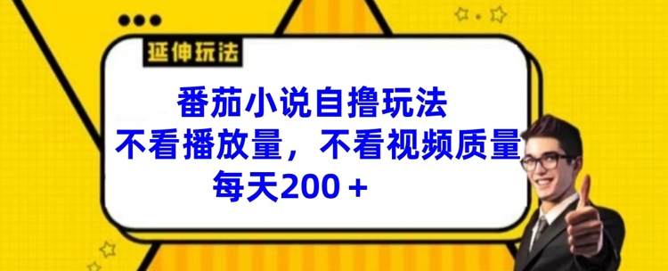 番茄小说自撸玩法，不看播放量，不看视频质量，每天200+【揭秘】-精品虚拟资源库