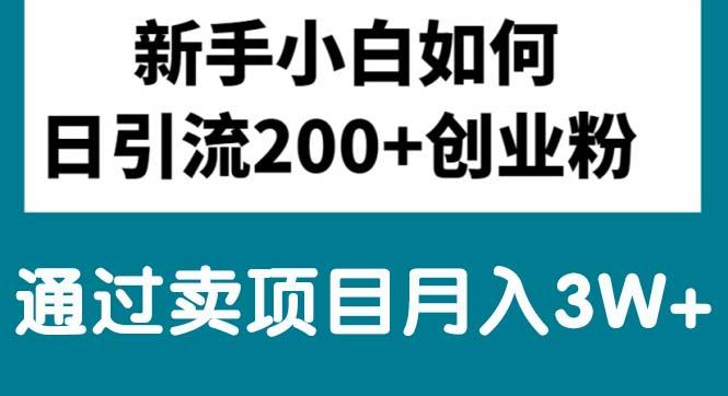 新手小白日引流200+创业粉,通过卖项目月入3W+-精品虚拟资源库
