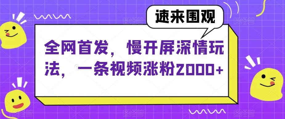 全网首发，慢开屏深情玩法，一条视频涨粉2000+【揭秘】-精品虚拟资源库