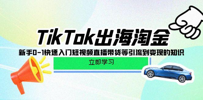 (10035期)TikTok-出海淘金，新手0-1快速入门短视频直播带货等引流到变现的知识-精品虚拟资源库