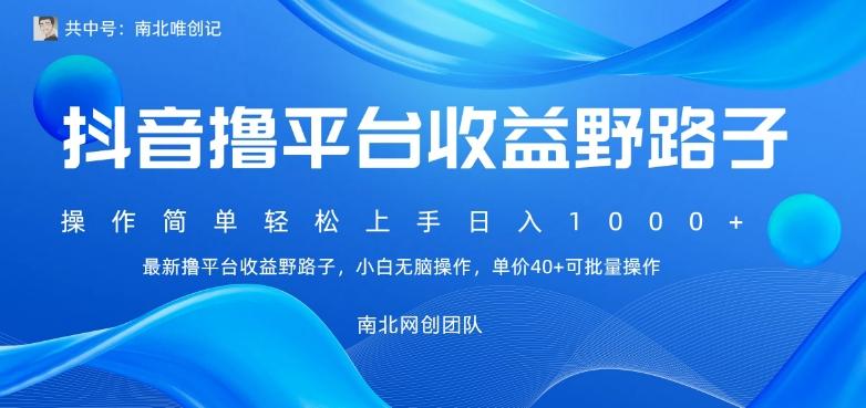 最新撸抖音平台收益野路子，操作简单，单价高，小白可无脑操作可日入1000+-精品虚拟资源库