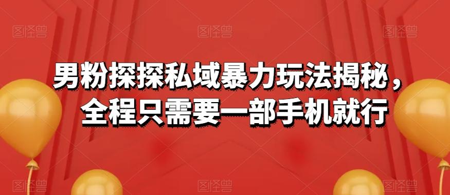 男粉探探私域暴力玩法揭秘，全程只需要一部手机就行-精品虚拟资源库