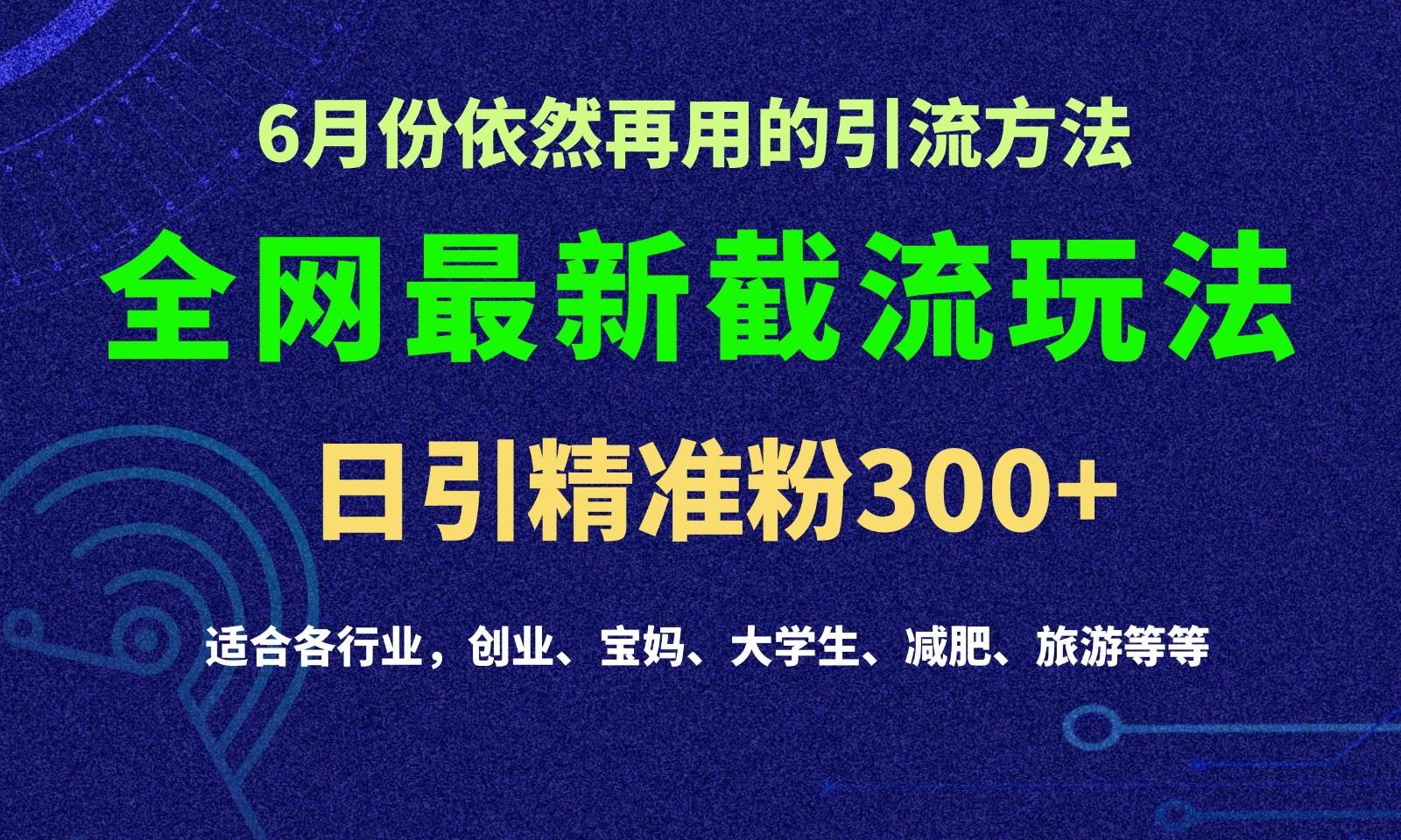 2024全网最新截留玩法，每日引流突破300+-精品虚拟资源库