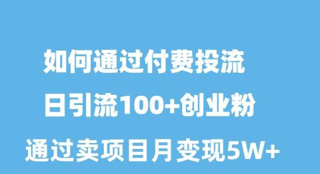 如何通过付费投流日引流100+创业粉月变现5W+-精品虚拟资源库
