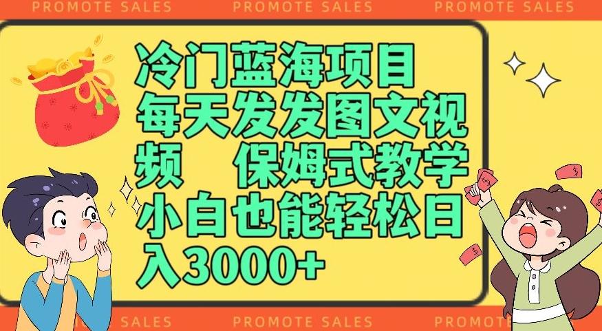 冷门蓝海项目，每天发发图文视频，保姆式教学，小白也能轻松日入3000+-精品虚拟资源库