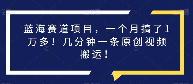 蓝海赛道项目，一个月搞了1万多！几分钟一条原创视频搬运！-精品虚拟资源库