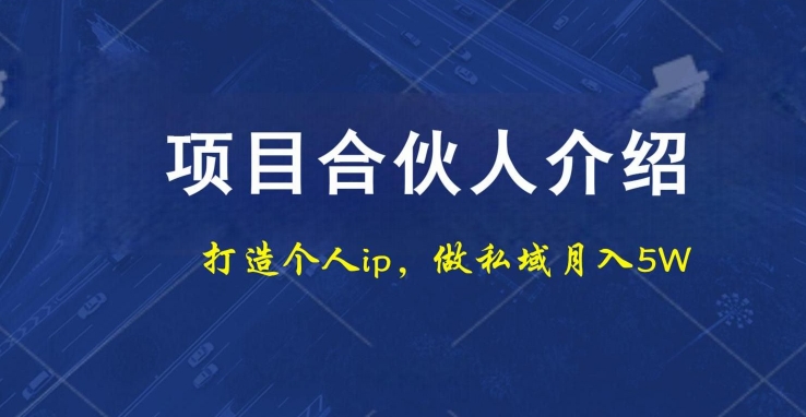 项目合伙人项目，打造个人IP，做私域月入5W，小白勿扰-精品虚拟资源库