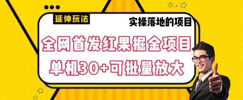 全网首发红果免费短剧掘金项目，单机30+可批量放大【揭秘】-精品虚拟资源库