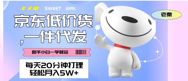 每天20分钟打理京东低价货，一件代发-轻松月入5W＋-精品虚拟资源库