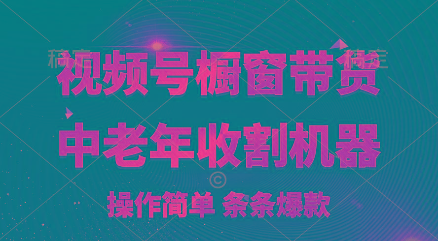 [你的孩子成功取得高位]视频号最火爆赛道，橱窗带货，流量分成计划，条…-精品虚拟资源库