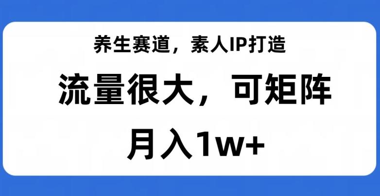 养生赛道，素人IP打造，流量很大，可矩阵，月入1w+【揭秘】-精品虚拟资源库