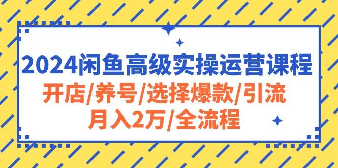 2024闲鱼高级实操运营课程：开店/养号/选择爆款/引流/月入2万/全流程-精品虚拟资源库