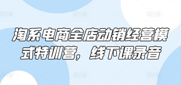 淘系电商全店动销经营模式特训营，线下课录音-精品虚拟资源库