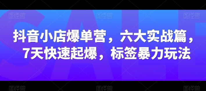 抖音小店爆单营，六大实战篇，7天快速起爆，标签暴力玩法-精品虚拟资源库