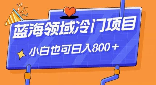 蓝海领域冷门赛道，一单39.9，日入800＋-精品虚拟资源库