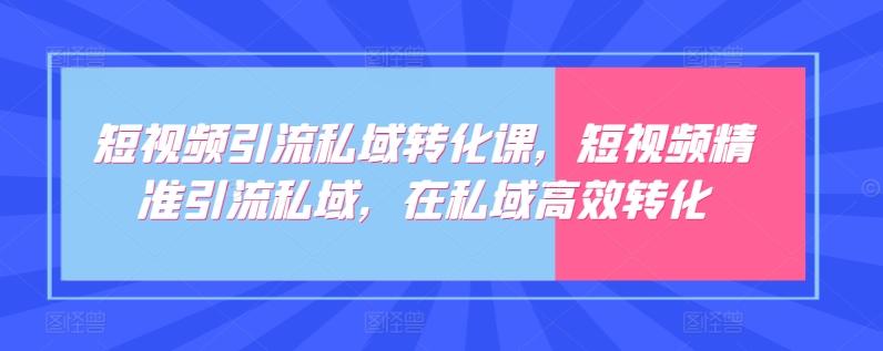 短视频引流私域转化课，短视频精准引流私域，在私域高效转化-精品虚拟资源库