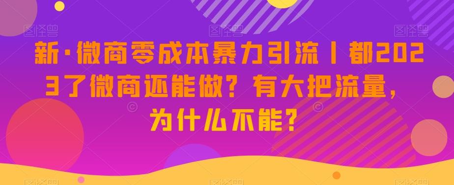 新·微商零成本暴力引流丨都2023了微商还能做？有大把流量，为什么不能？-精品虚拟资源库