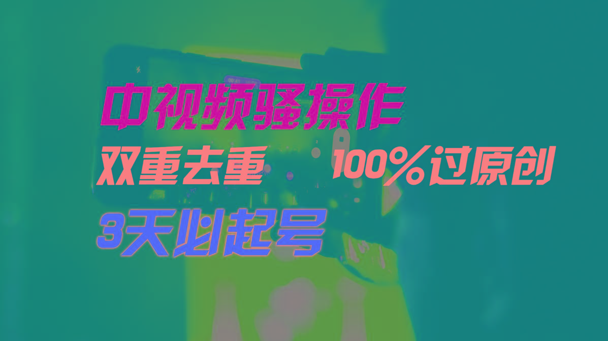 中视频骚操作，双重去重100%过原创，3天比必起号，简单无脑，月入3W+-精品虚拟资源库