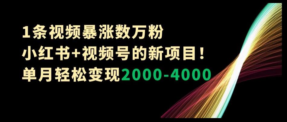 1条视频暴涨数万粉–小红书+视频号的新项目！单月轻松变现2000-4000【揭秘】-精品虚拟资源库