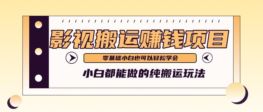 手把手教你操作影视搬运项目，小白都能做零基础也能赚钱-精品虚拟资源库