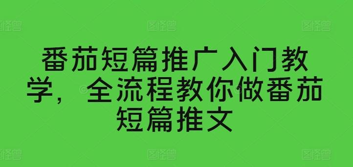 番茄短篇推广入门教学，全流程教你做番茄短篇推文-精品虚拟资源库