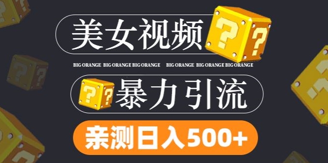 搬运tk美女视频全网分发，日引s粉300+，轻松变现，不限流量不封号【揭秘】-精品虚拟资源库