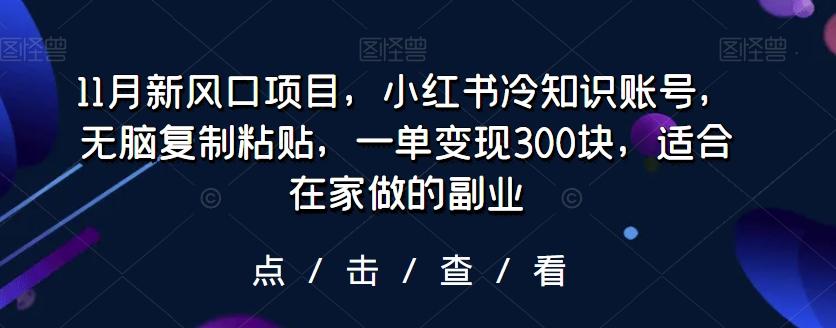 11月新风口项目，小红书冷知识账号，无脑复制粘贴，一单变现300块，适合在家做的副业-精品虚拟资源库