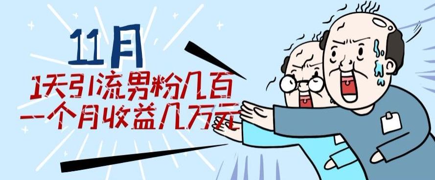 11月最新每天引流男粉300+一个月收益几万元-精品虚拟资源库