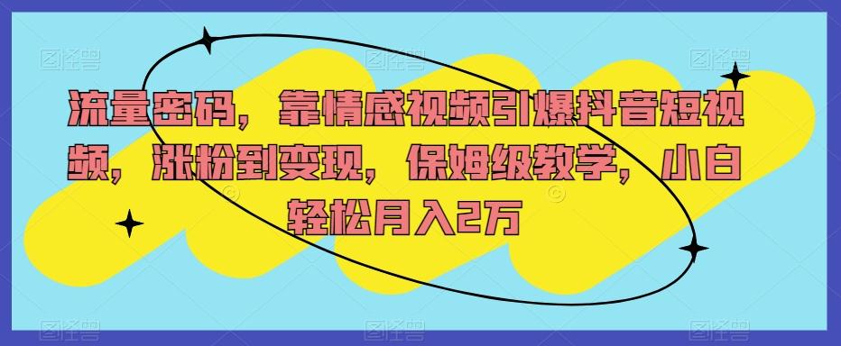 流量密码，靠情感视频引爆抖音短视频，涨粉到变现，保姆级教学，小白轻松月入2万【揭秘】-精品虚拟资源库