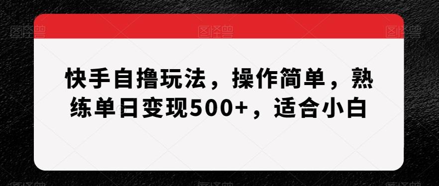 快手自撸玩法，操作简单，熟练单日变现500+，适合小白【揭秘】-精品虚拟资源库