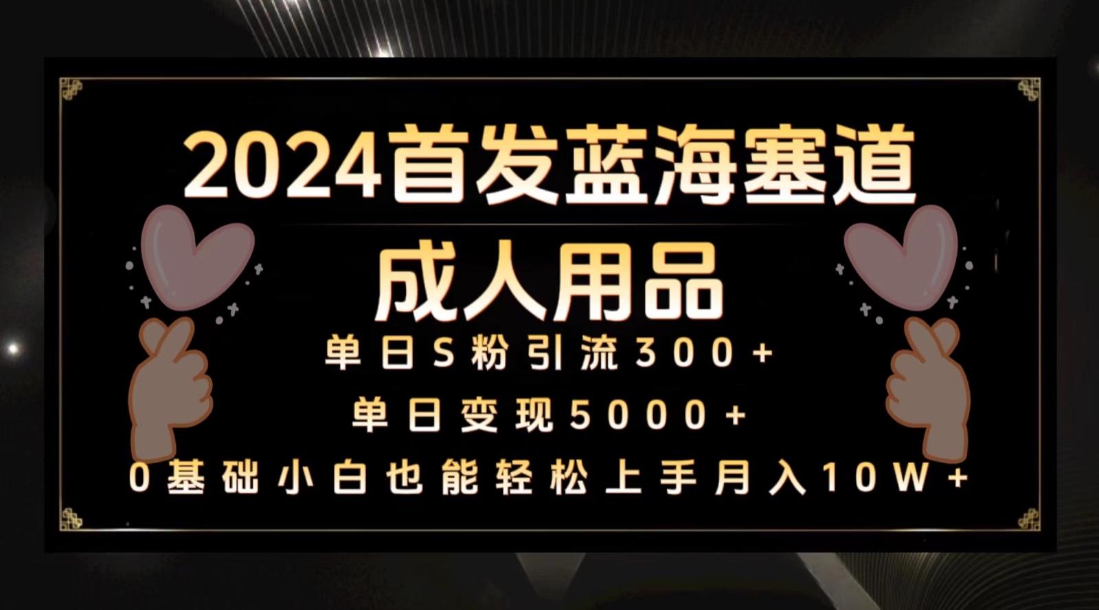 2024首发蓝海塞道成人用品，月入10W+保姆教程-精品虚拟资源库