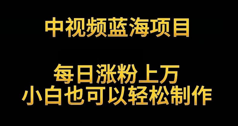 中视频蓝海项目，解读英雄人物生平，每日涨粉上万，小白也可以轻松制作，月入过万不是梦【揭秘】-精品虚拟资源库