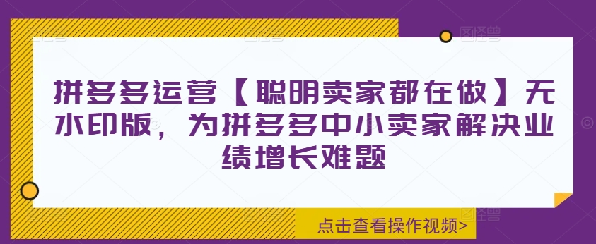 拼多多运营【聪明卖家都在做】无水印版，为拼多多中小卖家解决业绩增长难题-精品虚拟资源库