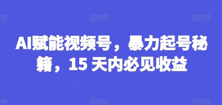 AI赋能视频号，暴力起号秘籍，15 天内必见收益【揭秘】-精品虚拟资源库