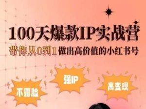小红书100天爆款IP实战营，带你从0到1做出高价值的小红书号-精品虚拟资源库
