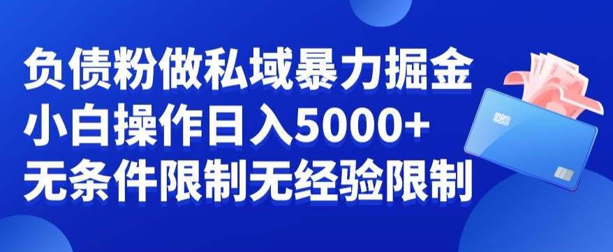 负债粉私域暴力掘金，小白操作入5000，无经验限制，无条件限制【揭秘】-精品虚拟资源库