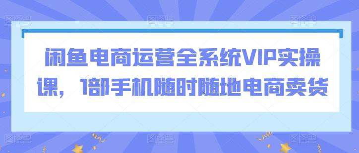 闲鱼电商运营全系统VIP实操课，1部手机随时随地电商卖货-精品虚拟资源库