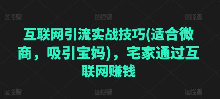 互联网引流实战技巧(适合微商，吸引宝妈)，宅家通过互联网赚钱-精品虚拟资源库