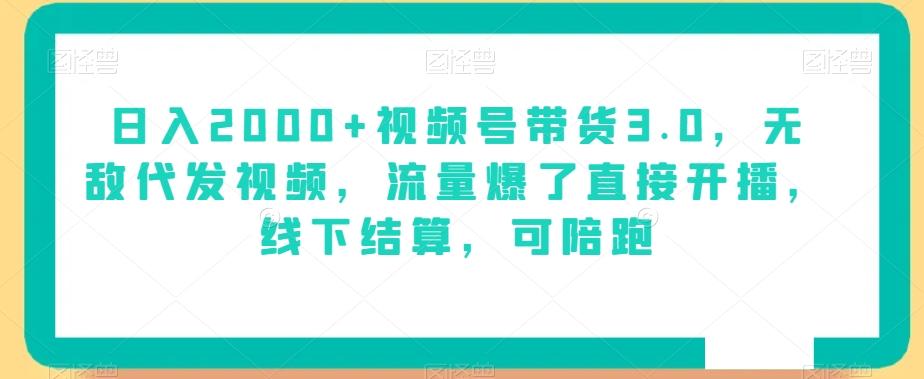 日入2000+视频号带货3.0，无敌代发视频，流量爆了直接开播，线下结算，可陪跑-精品虚拟资源库