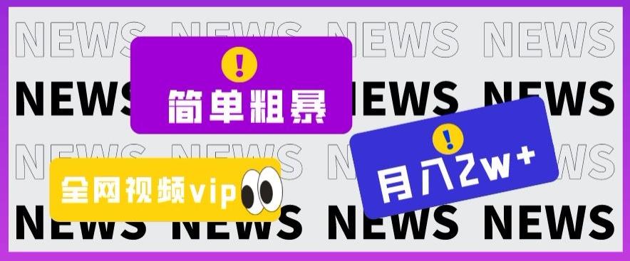 简单粗暴零成本，高回报，全网视频VIP掘金项目，月入2万＋【揭秘】-精品虚拟资源库