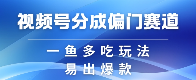 视频号创作者分成计划偏门类目，容易爆流，实拍内容简单易做【揭秘】-精品虚拟资源库